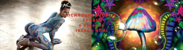 прущие крисы Армянск