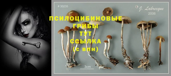 герыч Аркадак