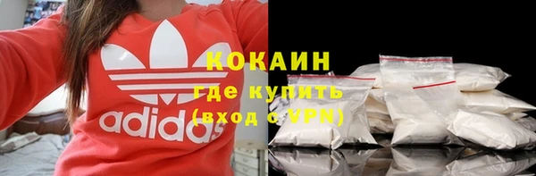 шишки Арсеньев