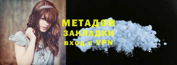 шишки Арсеньев