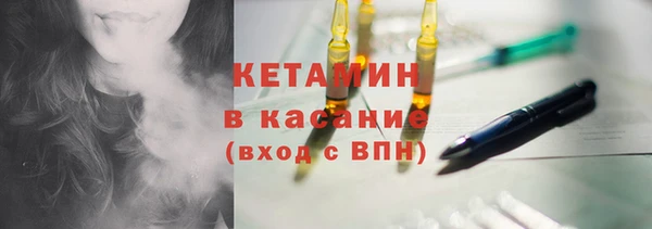 шишки Арсеньев