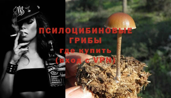 прущие крисы Армянск