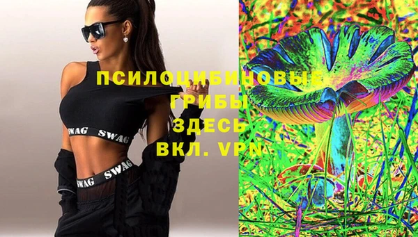 молекула духа Пестово