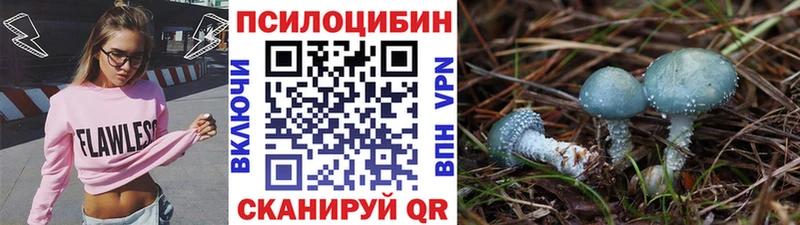 закладки  Сосновоборск  Галлюциногенные грибы мицелий 
